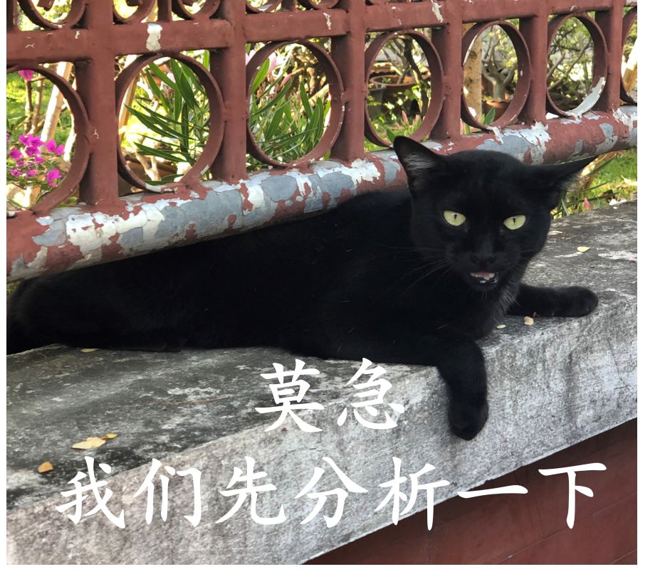 DƬ